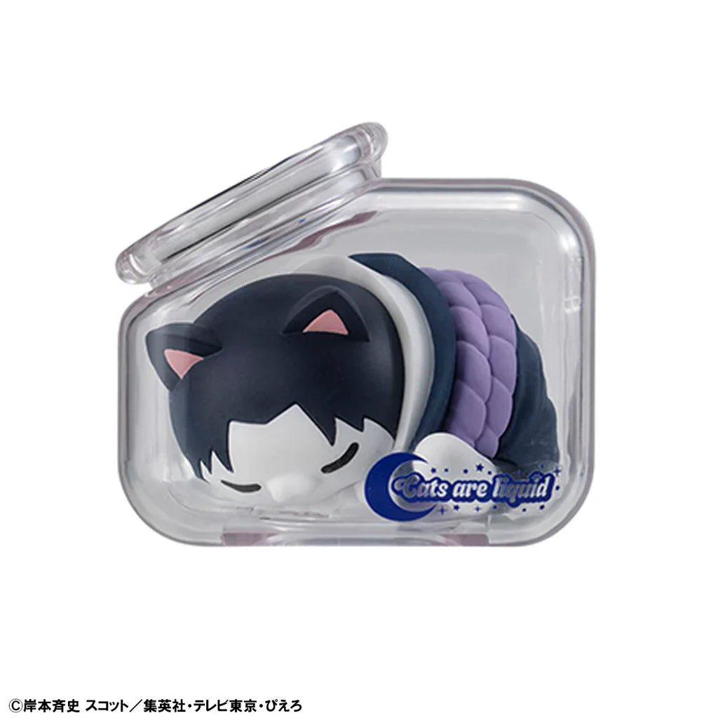 Mega Cat Project Naruto Shippuden Good Night Nyaruto!