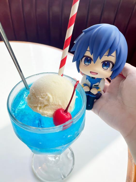 Lookup Kaito
