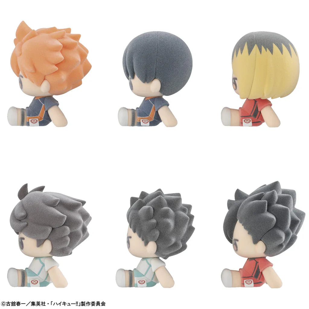 Nuippo Haikyu!!