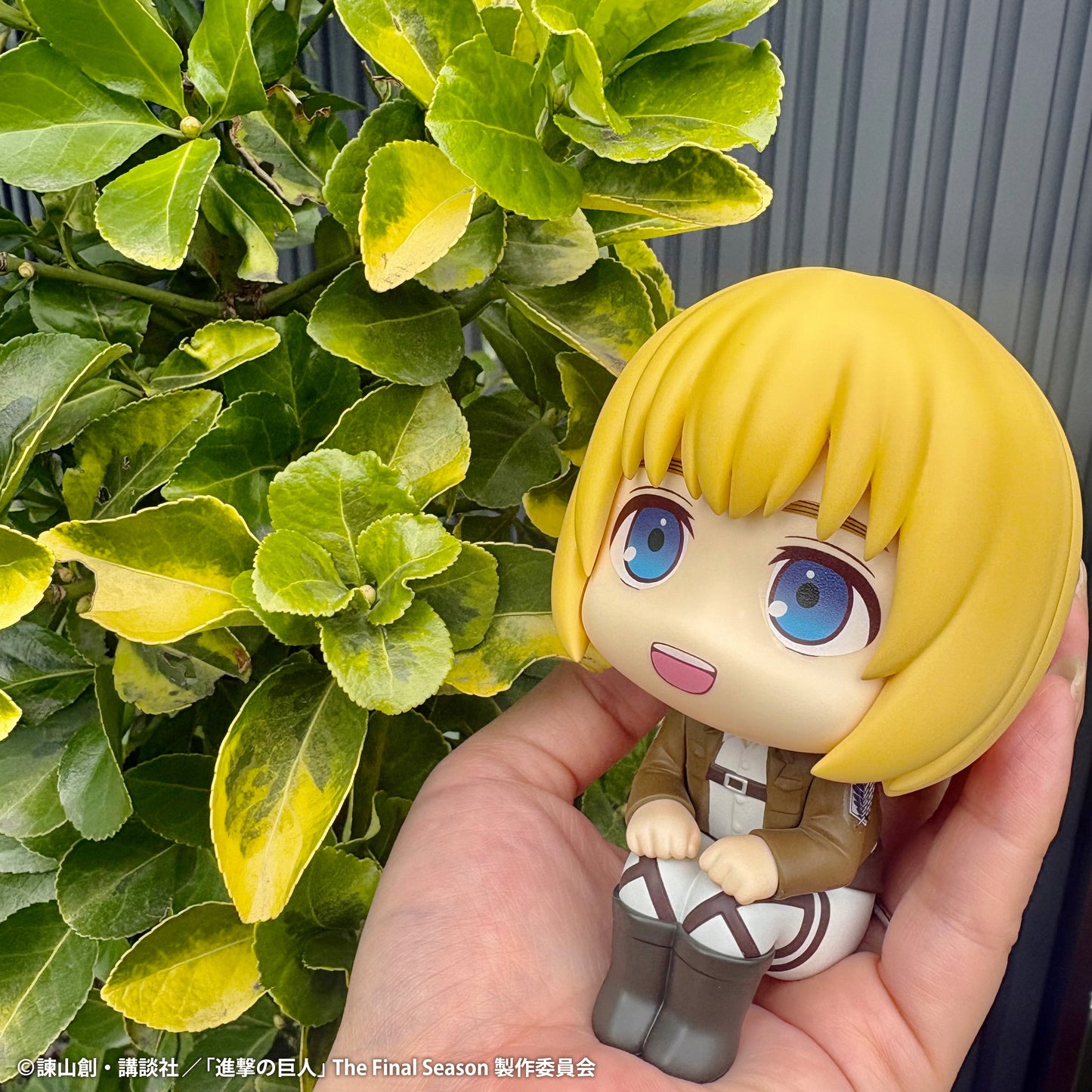 Lookup: Attack on Titan - Armin Arlert & Ellen Jaeger Grumpy Ver. Set [With Gift]
