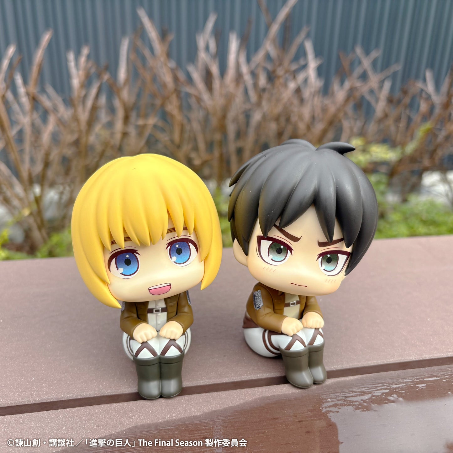 Lookup: Attack on Titan - Armin Arlert & Ellen Jaeger Grumpy Ver. Set [With Gift]