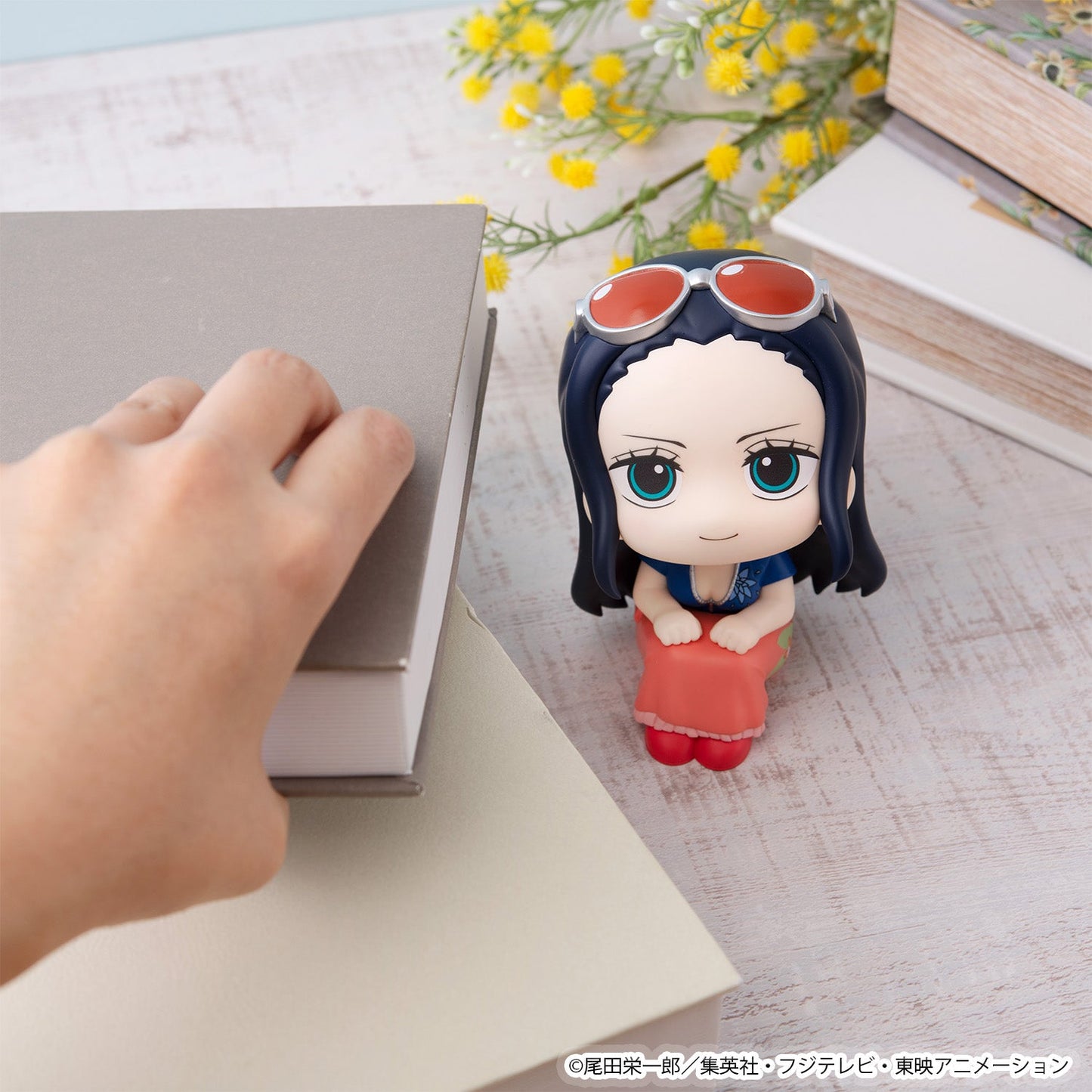 Lookup One Piece - Nico Robin