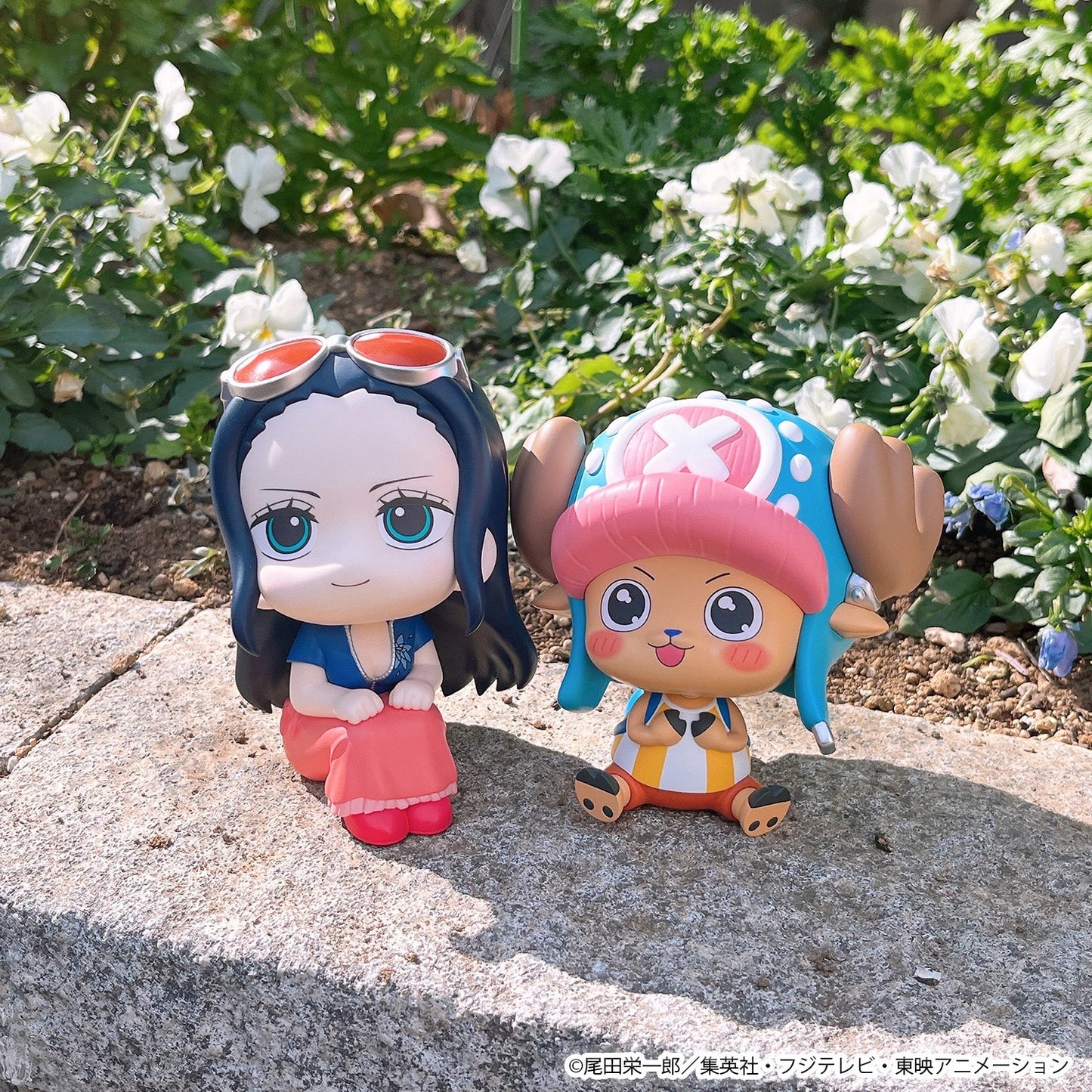 Lookup: One Piece - Nico Robin & Tony Tony Chopper Excited Ver. Set [With Gift]