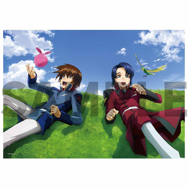 Mobile Suit Gundam Seed 20th Anniversary Official Book