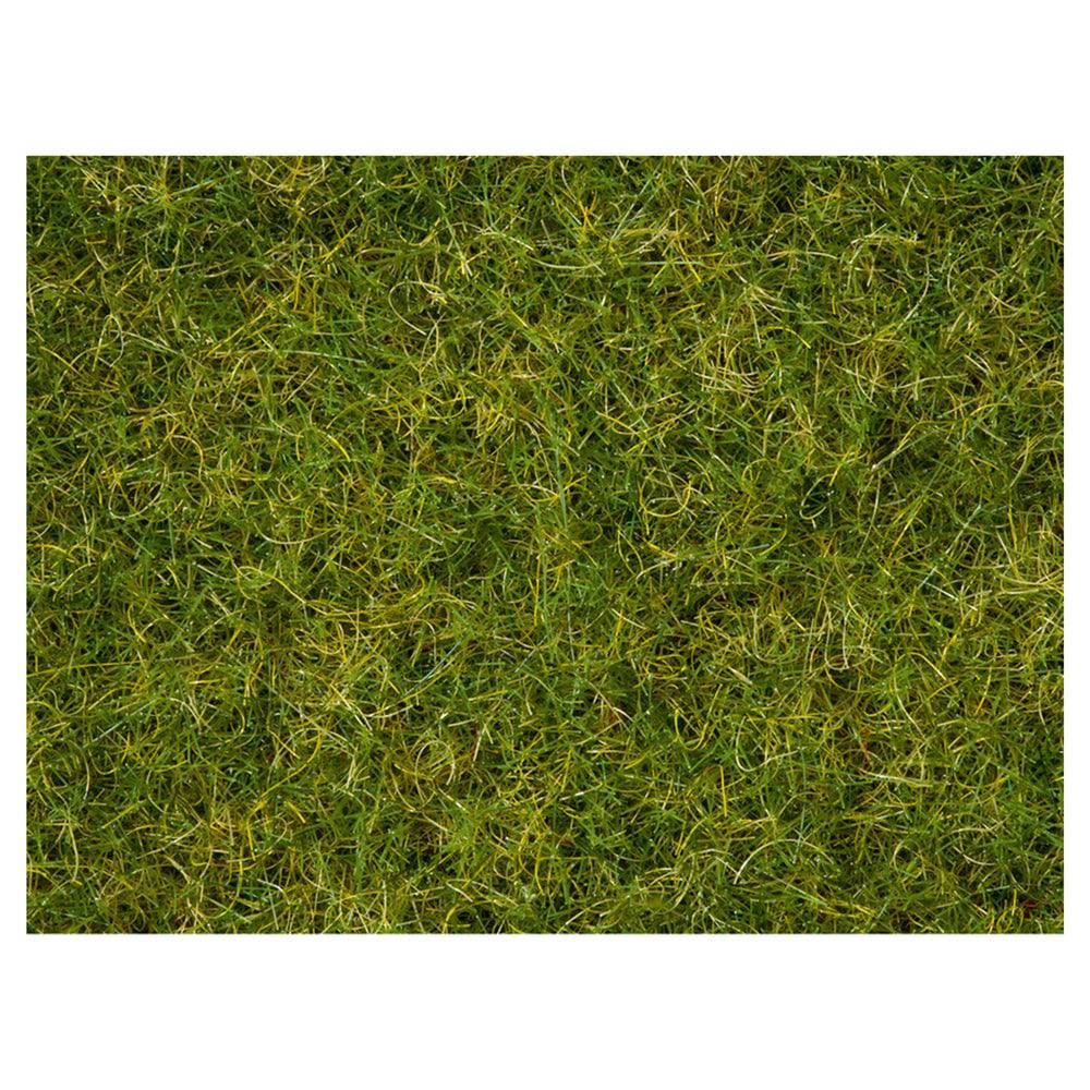 Master Grass Blend Summer Meadow 100g