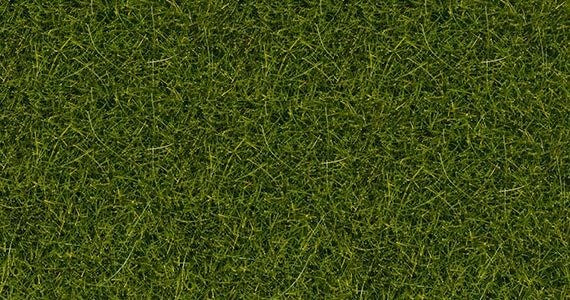 Scatter Wild Grass Light Green 100g