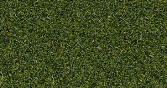 Scatter Wild Grass Light Green 100g