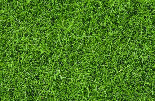 Scatter Wild Grass Dark Green 100g