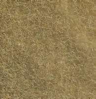 Wild Grass Beige