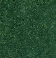 Wild Grass Dark Green