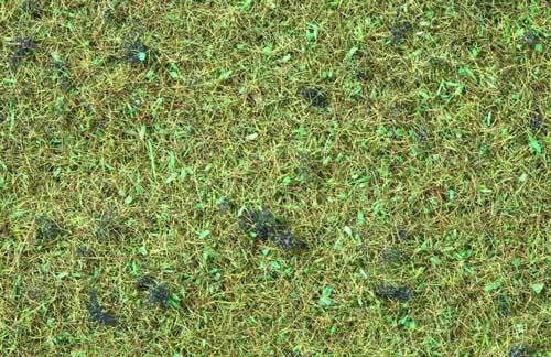 Static Grass Forest Floor 2.5mm