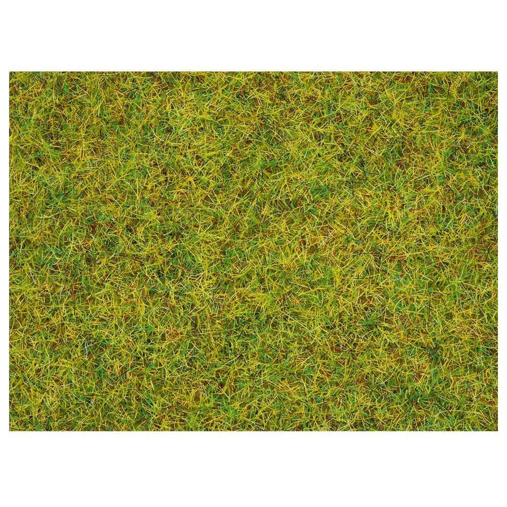 Scatter Grass Summer Meadow 20g