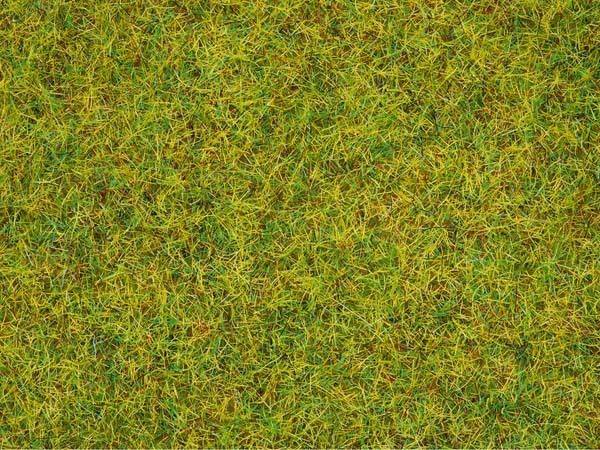 Scatter Grass Summer Meadow 20g