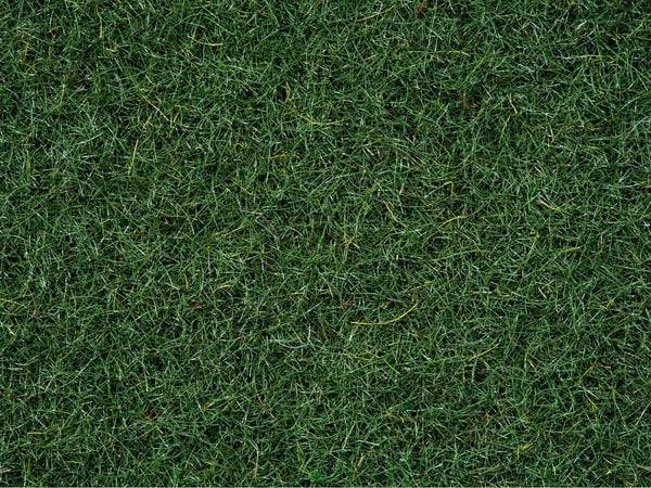 Scatter Grass Moor Ground 20g