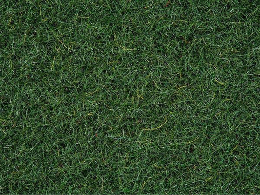 Scatter Grass Moor Ground 20g