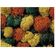 Lichen Autumn Mix