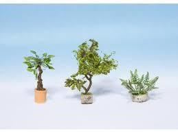 HO Ornamental Plants in Pots