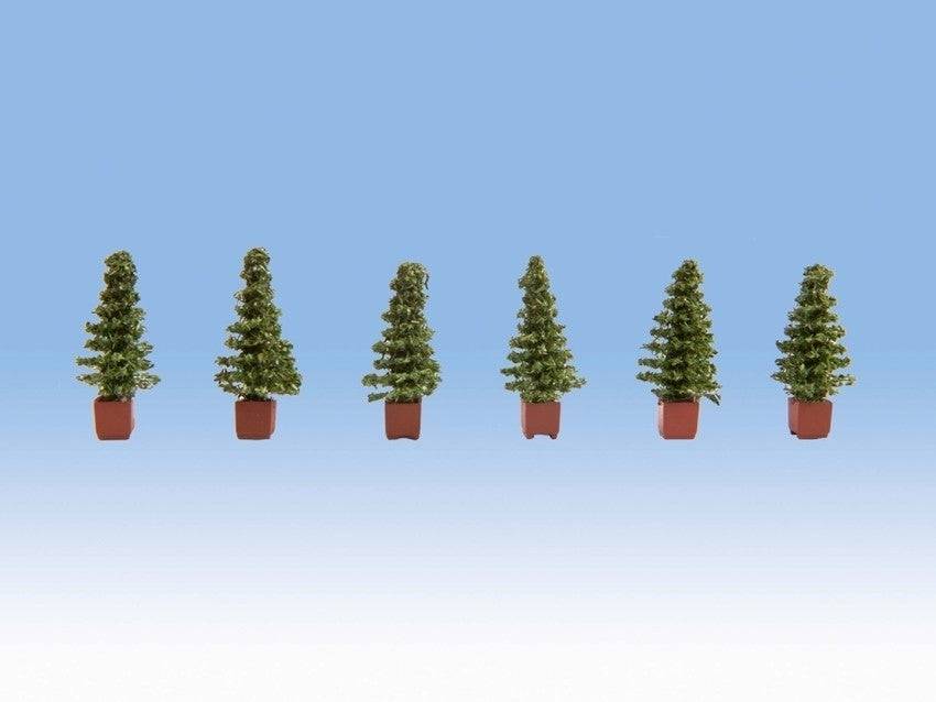 HO Thuja 6 Pieces