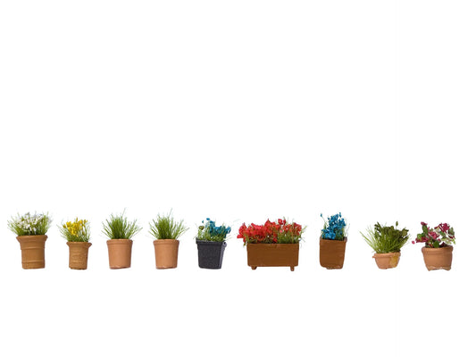 Flowers In Small Pots