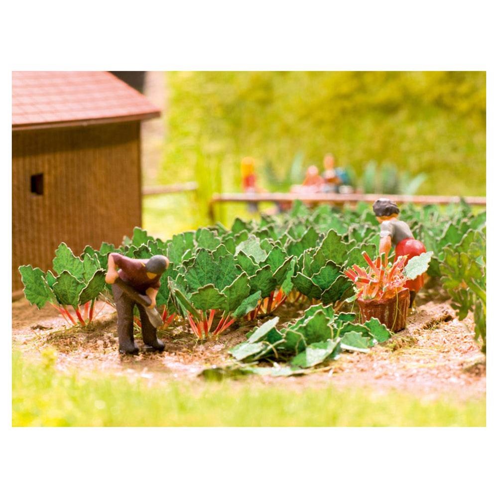 N Laser Cut Mini Rhubarb (18 Plants)