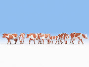 HO Brown and White Cows 7