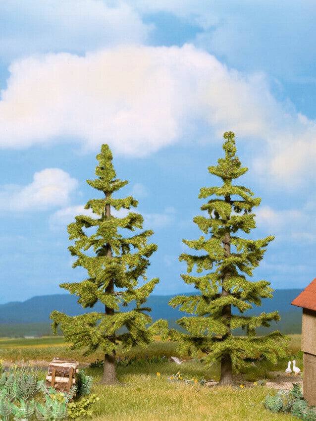 Spruce Trees 2pc 11cm and 12.5cm