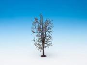 Tree Structure 'Lime Tree'