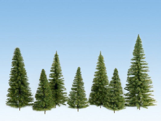 Spruces Med. Green 14-20cm 5 pcs