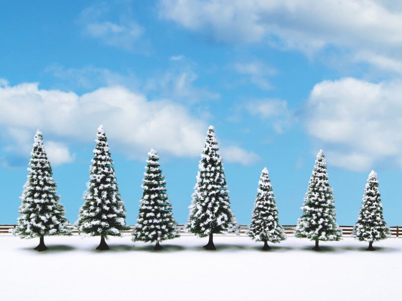 Snowy Fir Trees