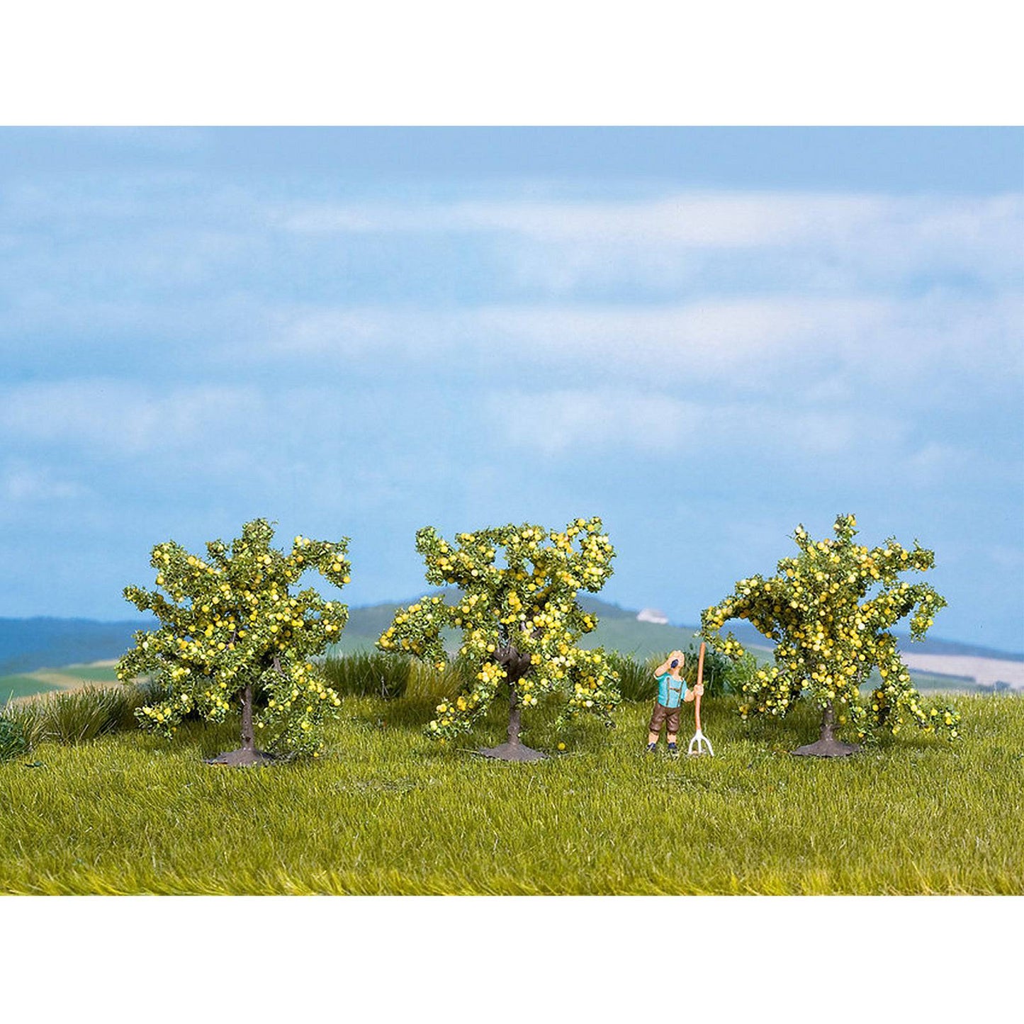 Lemon Trees 40mm 3