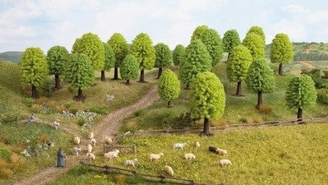 Deciduous Trees 5-9cm 15pcs