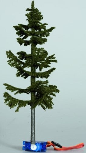 Spruce Tree