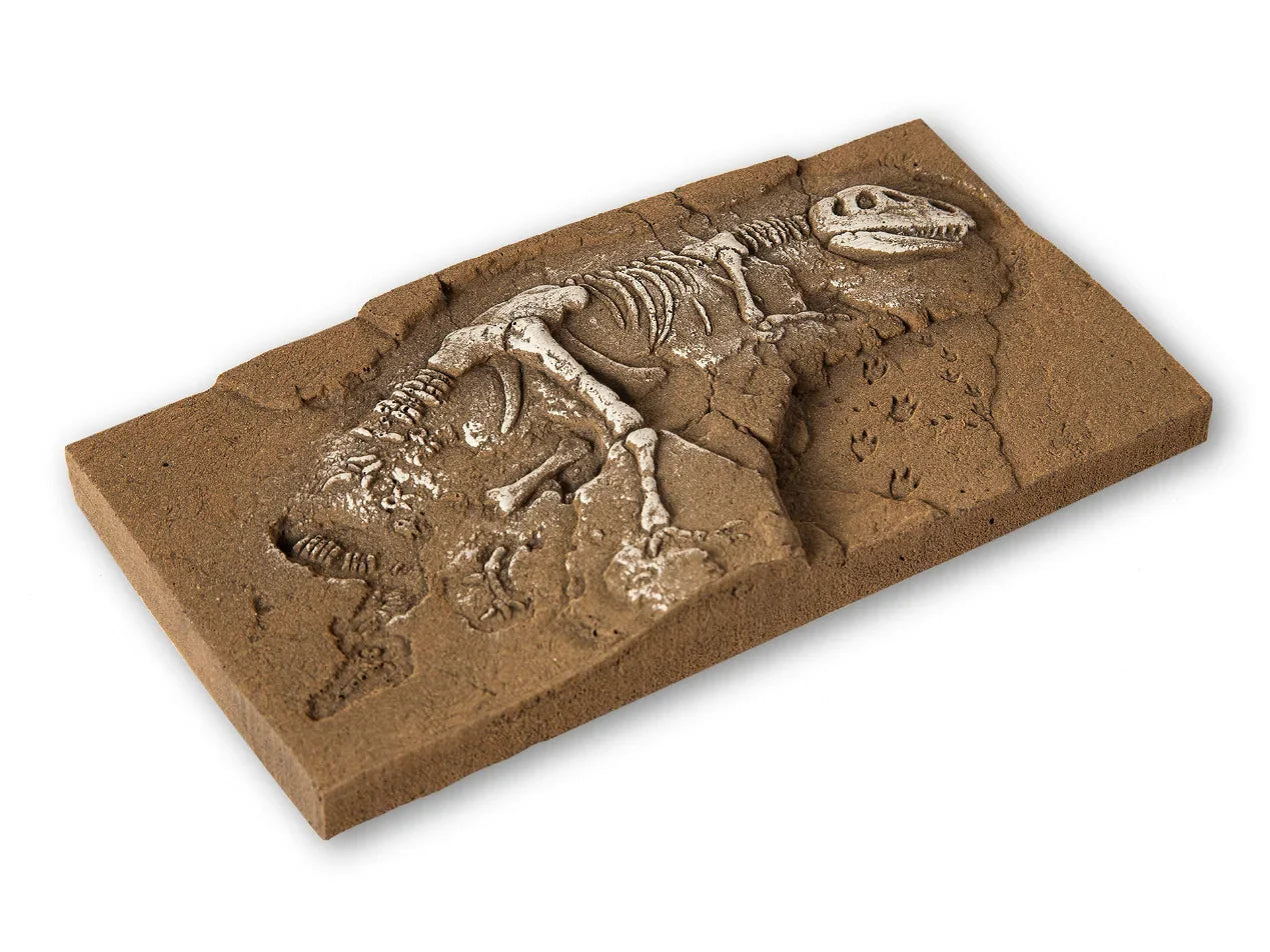 HO T-Rex Dinosaur Excavation