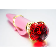 Proplica Transformation Brooch And Disguise Pen Set -Bce-