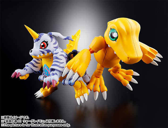 DS 02 Metal Garurumon