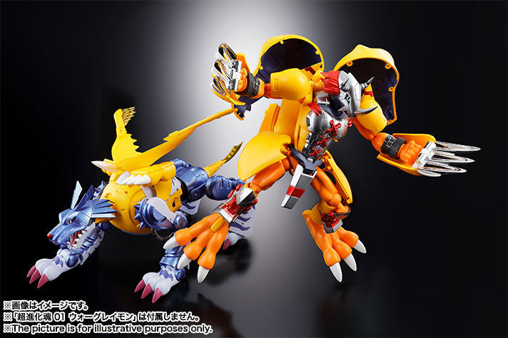 DS 02 Metal Garurumon