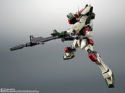 The Robot Spirits (Side Ms) Buster Gundam Ver. A.N.I.M.E.