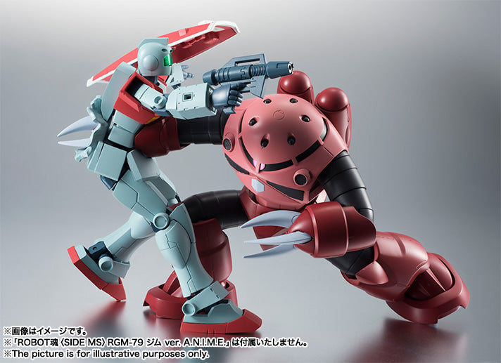 The Robot Spirits <Side Ms> MSM07S Z'Gok Char's Custom Model Ver. A.N.I.M.E.