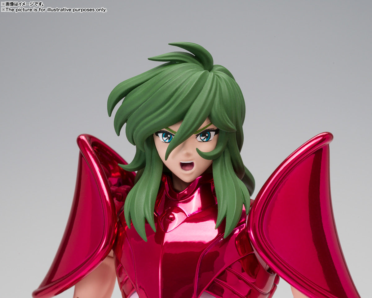 SAINT CLOTH MYTH EX ANDROMEDA SHUN [FINAL BRONZE CLOTH]