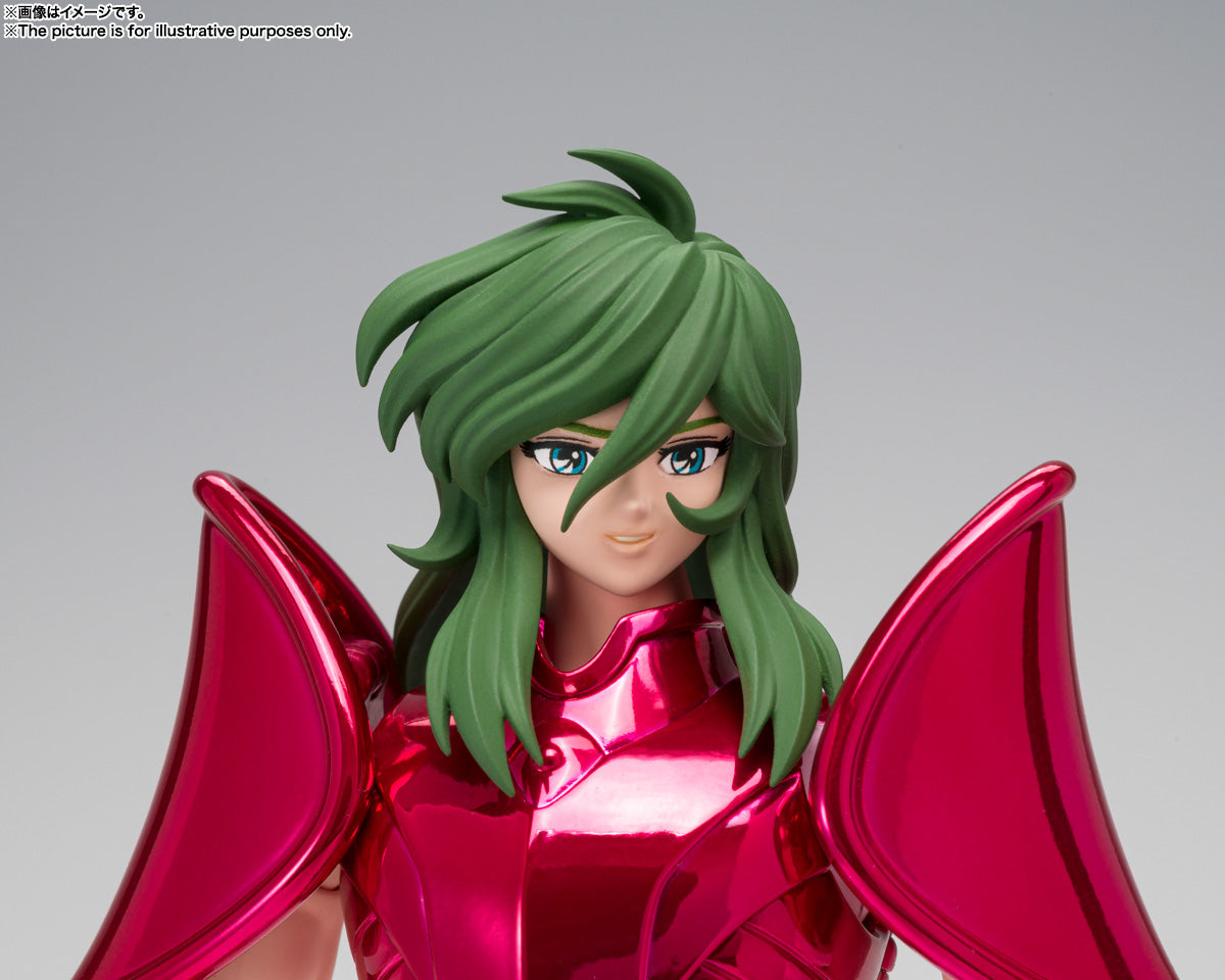 SAINT CLOTH MYTH EX ANDROMEDA SHUN [FINAL BRONZE CLOTH]