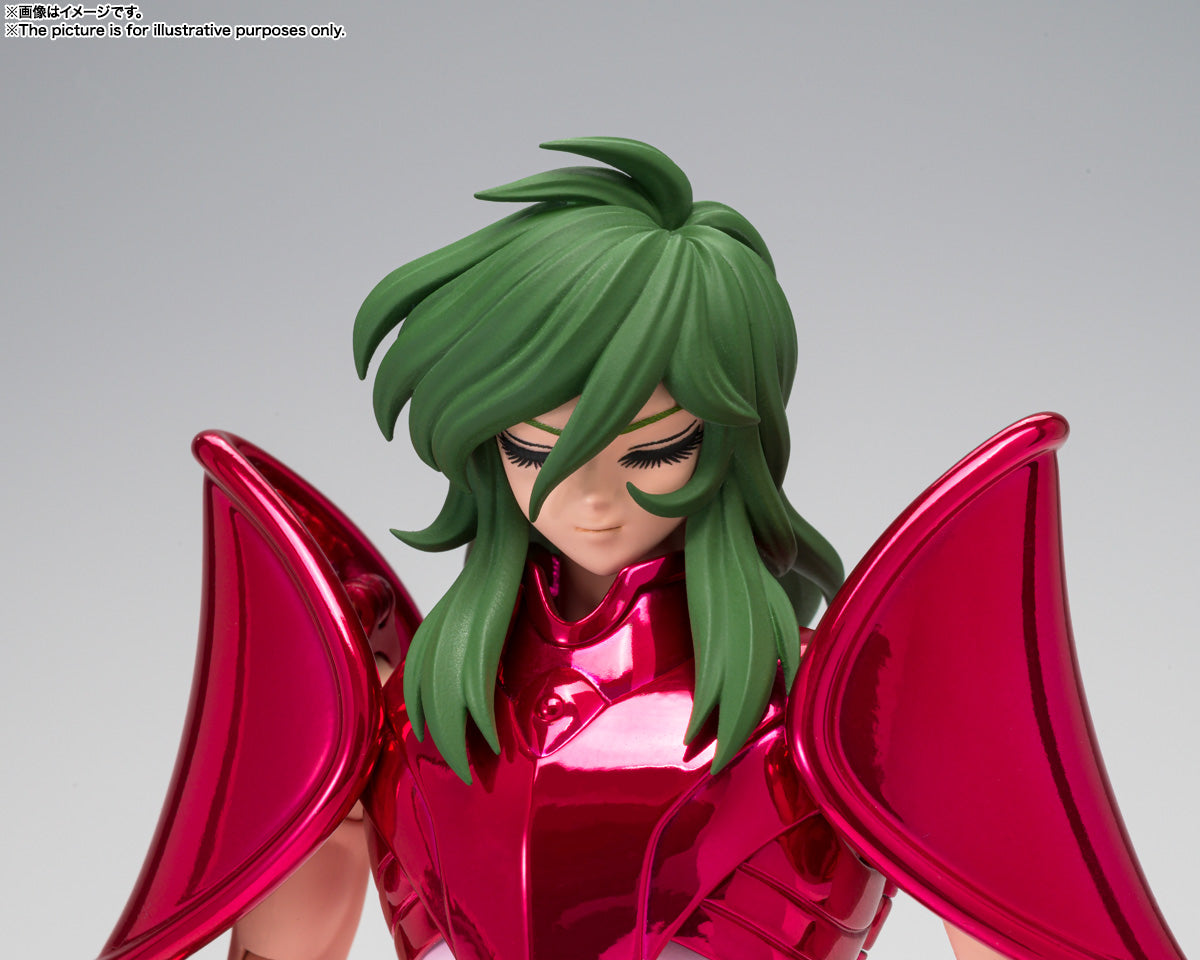 SAINT CLOTH MYTH EX ANDROMEDA SHUN [FINAL BRONZE CLOTH]