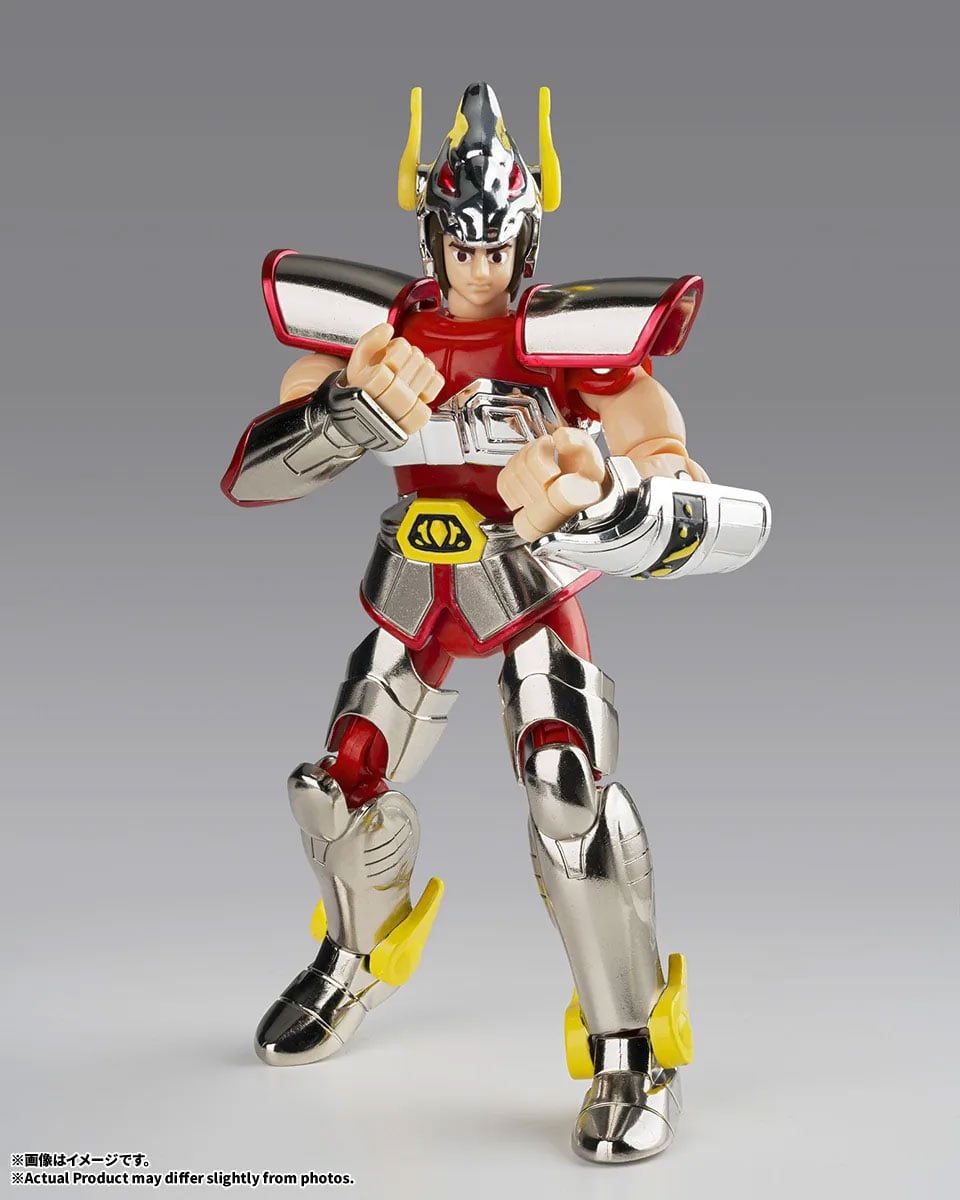 Saint Cloth Series Pegasus Cloth First Bronze Cloth - Cloth Box Limited Edition