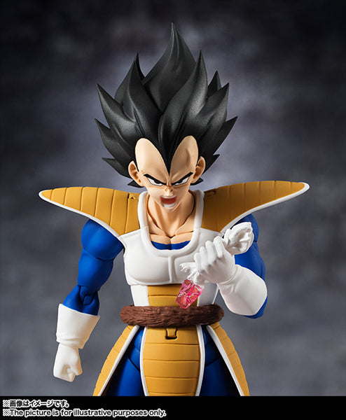 S.H.FiguartsSuper Saiyan Vegeta