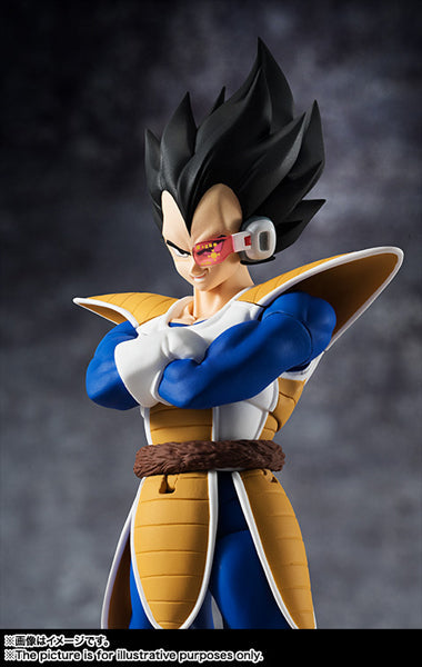 S.H.FiguartsSuper Saiyan Vegeta