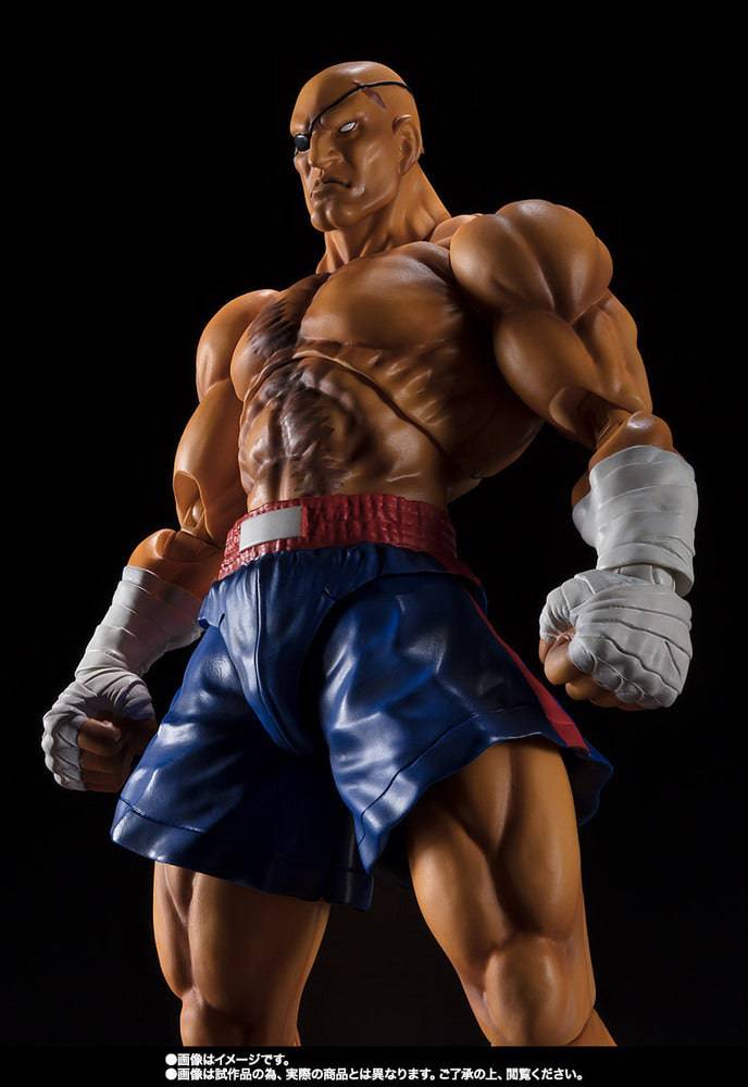 SHF SAGAT