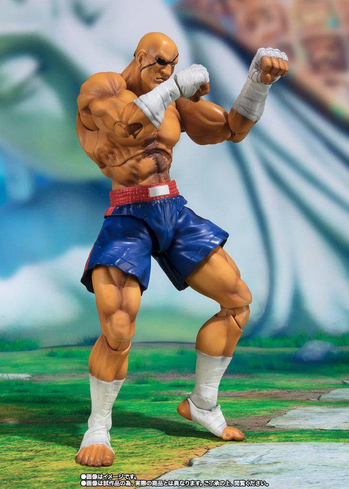 SHF SAGAT