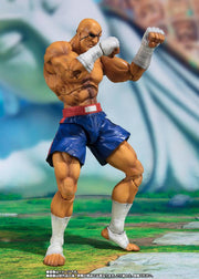 SHF SAGAT