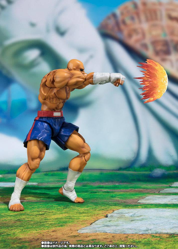 SHF SAGAT