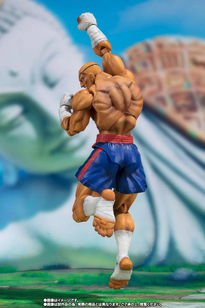 SHF SAGAT