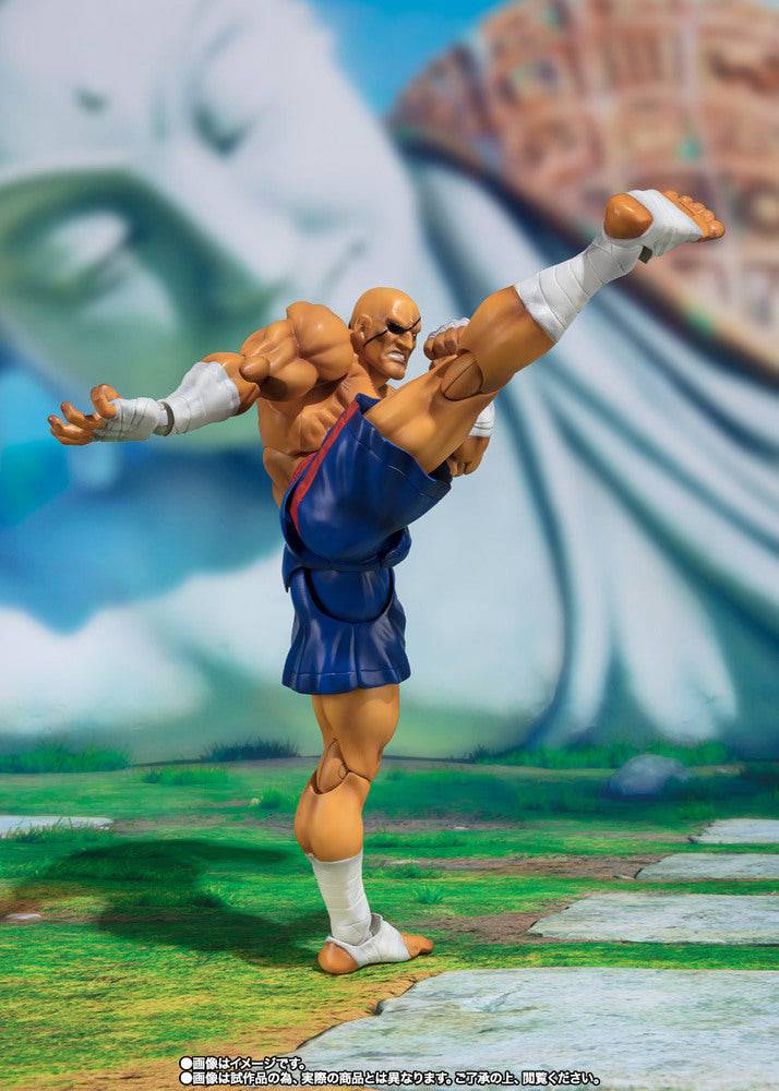 SHF SAGAT